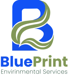 Blueprint — Pupal client